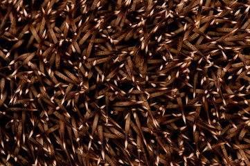 Prickles of a hedgehog