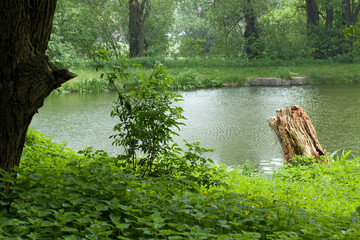 Teich