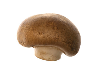 Champignon