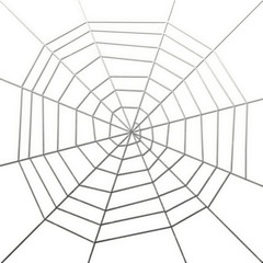 toile d'araignée, fond blanc