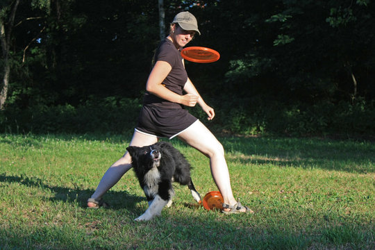 Funny catching Dog Frisbee