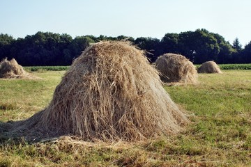 Haystack