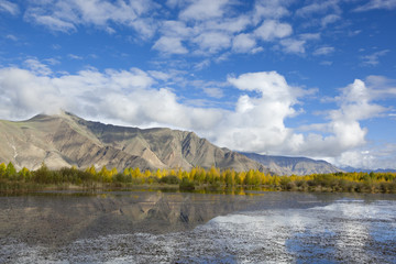 tibet: mountain, lake and treeline