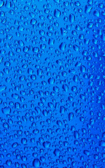 Water Drops on blue