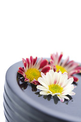 bowl of water and flowers-SPA concept