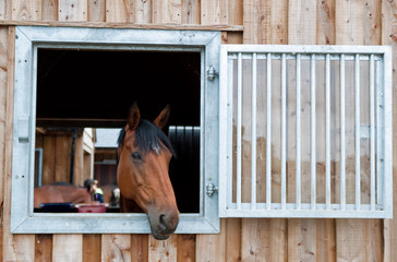 Stable Window