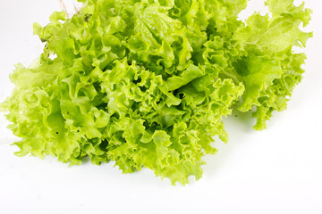 Obraz premium Salad leaves on a white