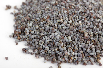 Poppy Seeds (Papaver Somniferum) on white background