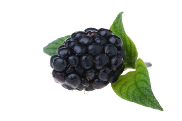 Blackberry