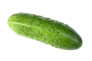 Cucumber