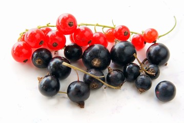 black and red currants