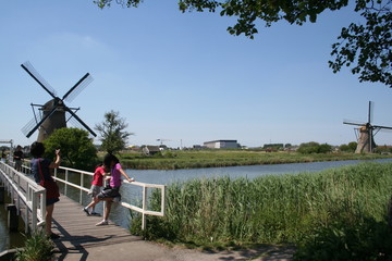 Fototapeta na wymiar Windmills of Kinderdijk in Holland