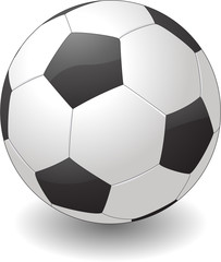 Vector soccer ball