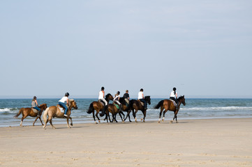 Reiten am Strand