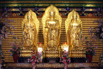 Fototapeta premium Portrait of a golden Buddha statue Thailand