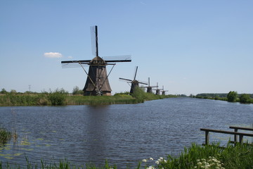 Windmills of Kinderdijk in Holland