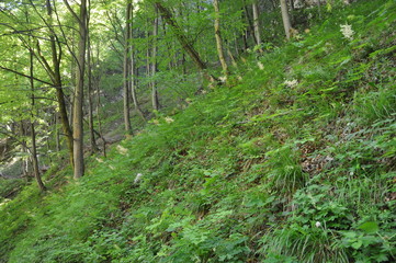 Parque Nacional de Triglav, Eslovenia.
