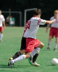 Obraz premium zweikampf