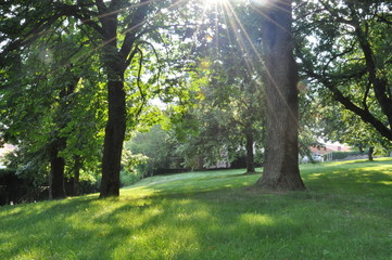 Parque de Lípica, en Eslovenia.