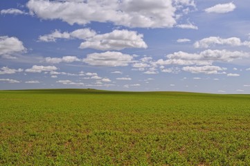 Fototapeta na wymiar Między polami i chmury