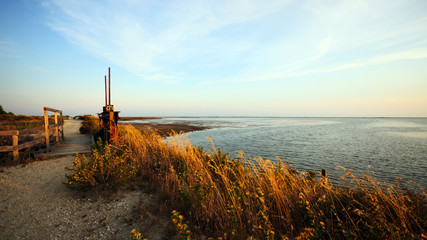 Paesaggio salina Camargue Francia