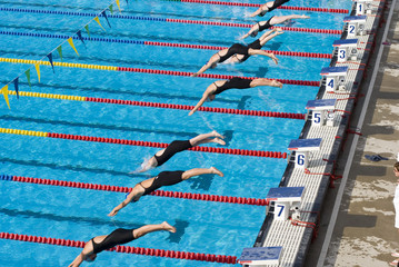 Swimmer