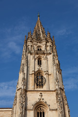 Fototapeta na wymiar Campanario de la catedral de León, Castilla y León, España