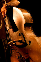 Hand of the musician on the contrabass at the live concert