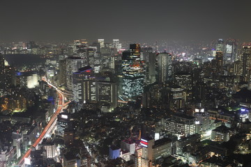 Fototapeta na wymiar Tokyo at night panorama with illuminated skyscrapers