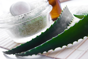 Sea salt and leaves of aloe vera