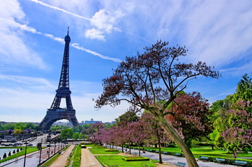 Parc parisien et Tour Eiffel - obrazy, fototapety, plakaty