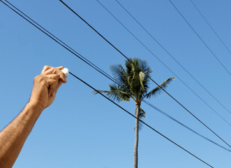 hand erasing power lines from a palm tree view