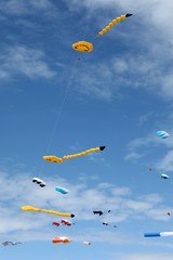 Flying kites