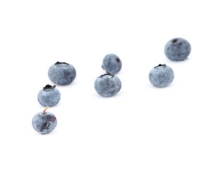 Blueberries on a white background