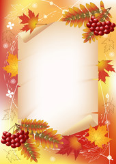 Autumn background with ashberry.