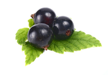 currants