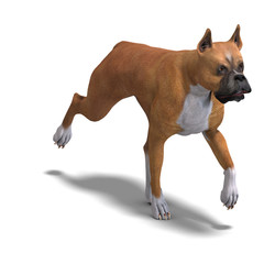 German Boxer Dog. 3D rendering with clipping path and shadow ove