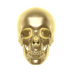 golden skull