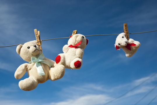 Teddies hung out to dry
