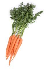 Karotten vor weißen Hintergrund