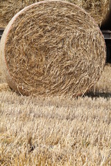 balla di fieno
