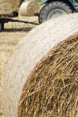 balla di fieno