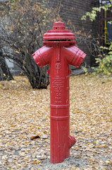 Fototapeta na wymiar Węgierski hydrant red