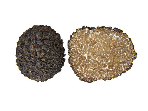 black truffle