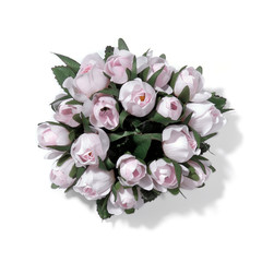 Blume
