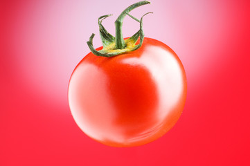 Red tomato against gradient background