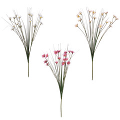 Fototapeta premium Blume