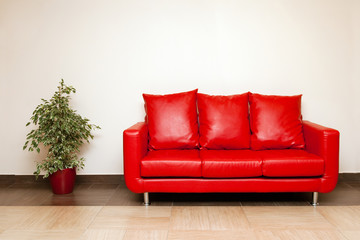 Red leather sofa with pillow and plant