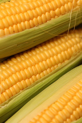 Corn