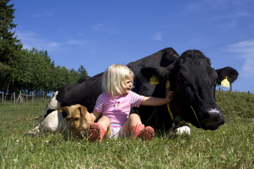 Kuh Kind und Hund